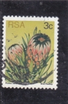 Sellos de Africa - Sudfrica -  FLORES- CAPTUS 