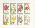 Stamps : Africa : Equatorial_Guinea :  FLORES-