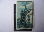 Stamps Italy -  Torre del Campidoglio - Avión sobre Roma - Olivo 