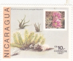 Stamps Nicaragua -  FLOR DE CAPTUS 
