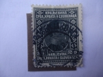 Stamps Yugoslavia -  King Alexander - Rey de Serbia, Croacia, eslovenia