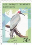 Stamps Benin -  AVES-PICATHARTES CREAS 