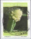 Stamps Bolivia -  Flora boliviana - Cactus