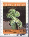 Stamps Bolivia -  Flora boliviana - Cactus
