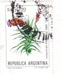 Sellos de America - Argentina -  FLORES- CLAVEL DEL AIRE 