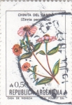 Stamps Argentina -  FLORES- CHINITA DE CAMPO 