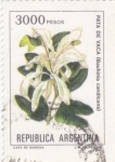 Stamps Argentina -  FLORES- PATA DE VACA