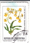 Stamps Argentina -  FLORES- FLOR DE PATITO 
