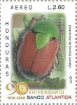 Sellos de America - Honduras -  Coleópteros de Honduras