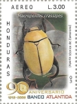 Sellos de America - Honduras -  Coleópteros de Honduras