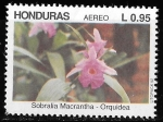 Sellos de America - Honduras -  Flores