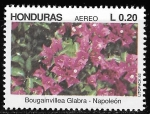 Stamps : America : Honduras :  Flores