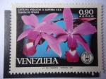 Stamps Venezuela -  Catteya Violacea ó Superba H.B.K. - Orquídea del Orinoco