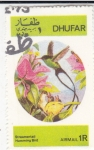 Stamps Oman -  AVES