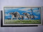 Stamps Hungary -  Jinete Conduciendo Cinco Caballos - Parque Nacional Hortobágy