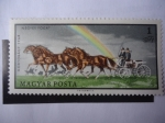 Stamps Hungary -  Tirado por Cinco Corceles - Parque Nacional Hortobagy