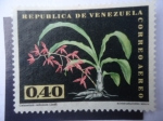 Stamps : America : Venezuela :  Catasetum Callosum Lindl - Orquídea.