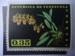 Sellos de America - Venezuela -  Epidendrum Stamfordianum Batem