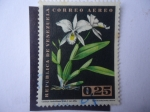 Stamps Venezuela -  Catsetum Pileatum - Cattleya Gaskelliana Rchb.F.var alba