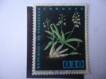 Stamps Venezuela -  Caularthson Bilamellaum (Rch.F.) R.E.S. Schultes - Orquídeas