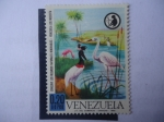 Stamps Venezuela -  Conserve los Recursos Renovables-Venezuela los Necesita - Aves AcuáticasN