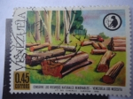 Stamps Venezuela -  Conserve los Recursos Naturales Renovables- Venezuela los Necesita - Explotación Forestal-Bosque.
