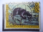 Stamps Venezuela -  Oso Frontino o Salvaje - Oso con Gafas (