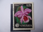 Stamps Venezuela -  cattleya Mossiae Hook - Flor Nacional.
