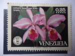 Stamps Venezuela -  Catleya Gaskeliana RCHB.F Caribeña-Orquidea 1971