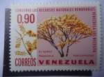 Stamps Venezuela -  Roble (Platymiscium Sp.) Papillonatae - Conserve los Recursos Naturales Renovables.