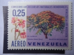Stamps Venezuela -  El Saman (Samanea Saman) Merrill Mimosaceae - Conserve los Recursos Naturales Renovables.
