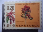 Sellos de America - Venezuela -  El Palo María (Triplaris Caracasana)Cham Polygonaceae- Conserve los Recursos Naturales Renovables.