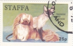 Stamps United Kingdom -  PEKINES Y SIAMES