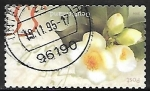 Stamps Germany -  Camelias