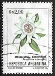 Stamps Argentina -  Pasionaria