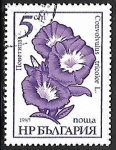 Stamps Bulgaria -  Flor de Jardin