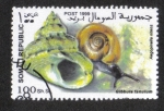 Stamps : Africa : Somalia :  Caracol