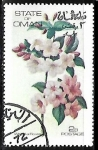 Stamps Oman -  Flores