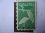 Sellos de Europa - Espaa -  Gran Garza Blanca - Mapa de Evenglades National Park-Florida