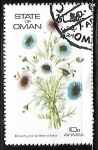 Stamps Oman -  Brachycome ibendifolia
