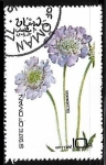 Stamps Oman -  Scabiosa