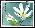 Stamps Poland -  Magnolia kobus