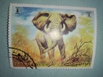 Stamps United Arab Emirates -  Fauna