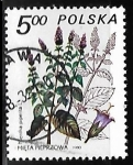 Stamps : Europe : Poland :  Mentha piperita