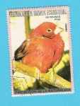 Stamps Equatorial Guinea -  PROTECCION  DE LA NATURALEZA