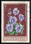 Stamps Romania -  Violeta Alpina