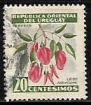 Stamps : America : Uruguay :  Ceibo