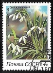 Stamps Russia -  Snowdrops