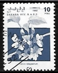 Stamps Morocco -  Flores