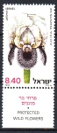 Stamps Israel -  PROTECCIÓN  DE  FLORES  SILVESTRES.  IRIS  NAZARENA.